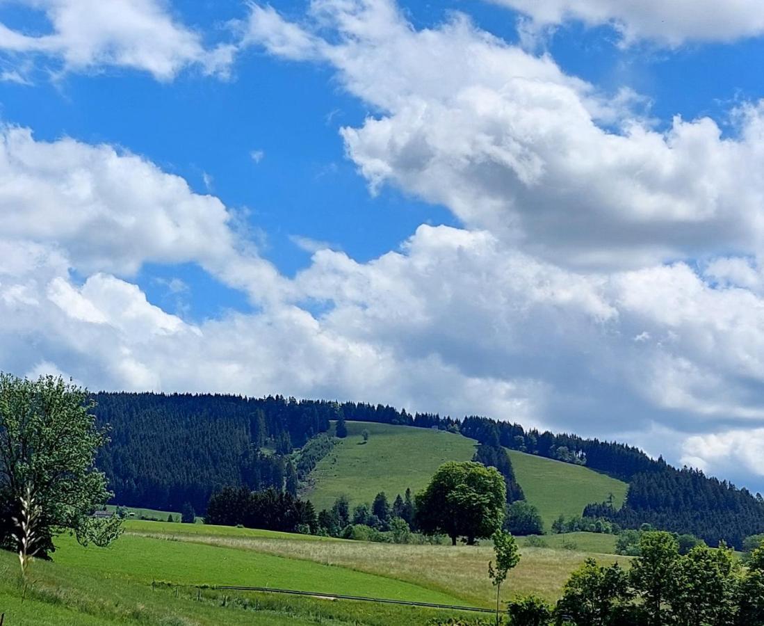 Ferienhaus Rasch 梅尔霍芬 外观 照片