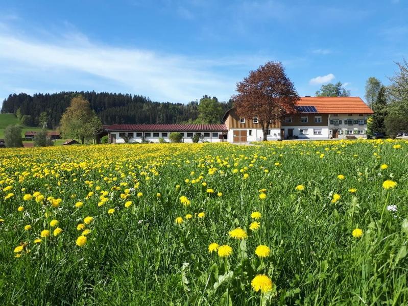 Ferienhaus Rasch 梅尔霍芬 外观 照片